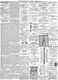imagen miniatura de la página