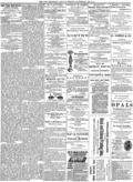 imagen miniatura de la página