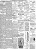 imagen miniatura de la página