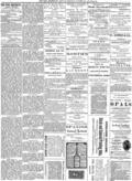 imagen miniatura de la página