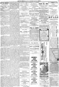 imagen miniatura de la página