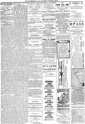 imagen miniatura de la página