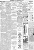imagen miniatura de la página