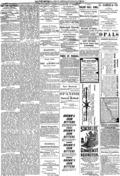 imagen miniatura de la página