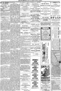 imagen miniatura de la página