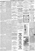 imagen miniatura de la página