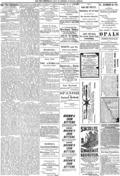 imagen miniatura de la página