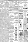 imagen miniatura de la página