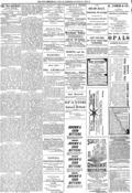 imagen miniatura de la página