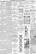 imagen miniatura de la página
