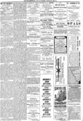 imagen miniatura de la página