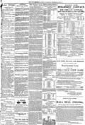 imagen miniatura de la página