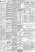 imagen miniatura de la página
