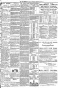imagen miniatura de la página