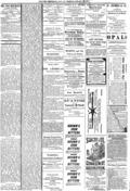 imagen miniatura de la página
