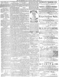 imagen miniatura de la página