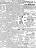 imagen miniatura de la página