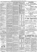 imagen miniatura de la página