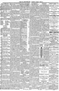 imagen miniatura de la página