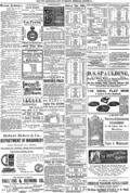 imagen miniatura de la página