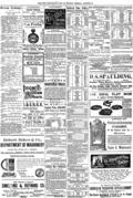 imagen miniatura de la página