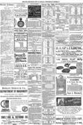 imagen miniatura de la página