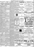 imagen miniatura de la página