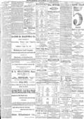imagen miniatura de la página