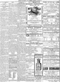 imagen miniatura de la página