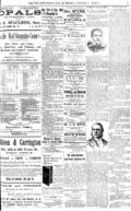 imagen miniatura de la página