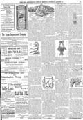imagen miniatura de la página