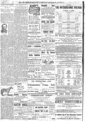 imagen miniatura de la página