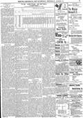 imagen miniatura de la página