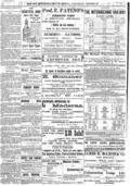 imagen miniatura de la página