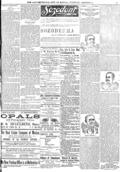 imagen miniatura de la página