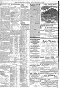 imagen miniatura de la página