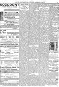 imagen miniatura de la página
