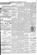 imagen miniatura de la página