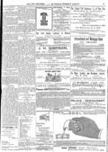 imagen miniatura de la página