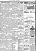 imagen miniatura de la página