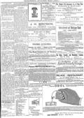 imagen miniatura de la página