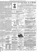 imagen miniatura de la página