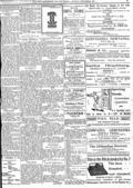 imagen miniatura de la página