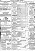 imagen miniatura de la página
