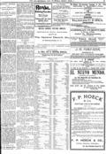 imagen miniatura de la página