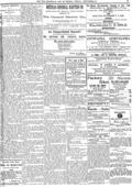 imagen miniatura de la página
