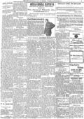 imagen miniatura de la página