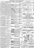 imagen miniatura de la página
