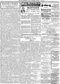 imagen miniatura de la página