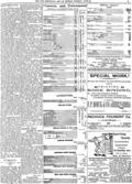 imagen miniatura de la página